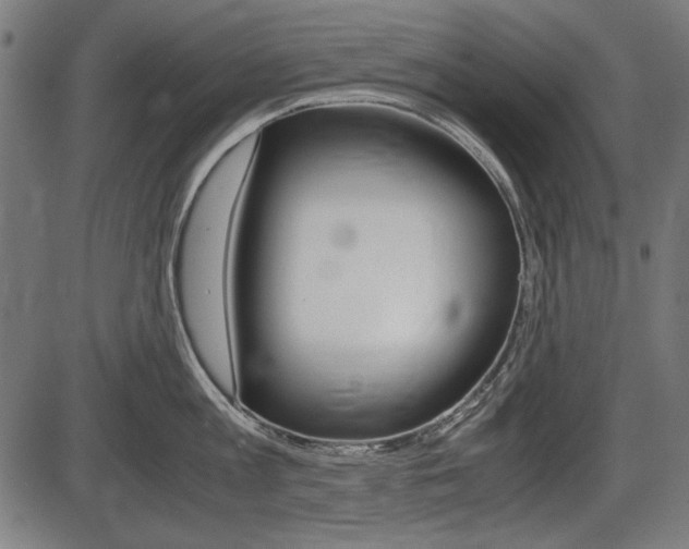 X0000087540813200704270922