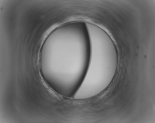 X0000087540815200704270922