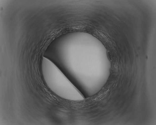 X0000087540817200704270921