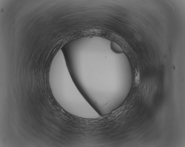 X0000087540819200704270921