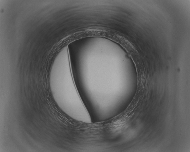 X0000087540821200704270921