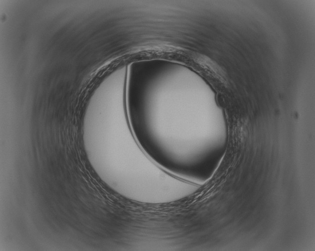 X0000087540822200704270921