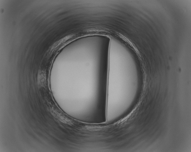 X0000087540825200704270921
