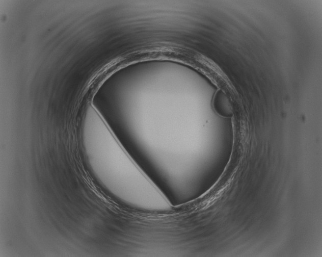 X0000087540826200704270921