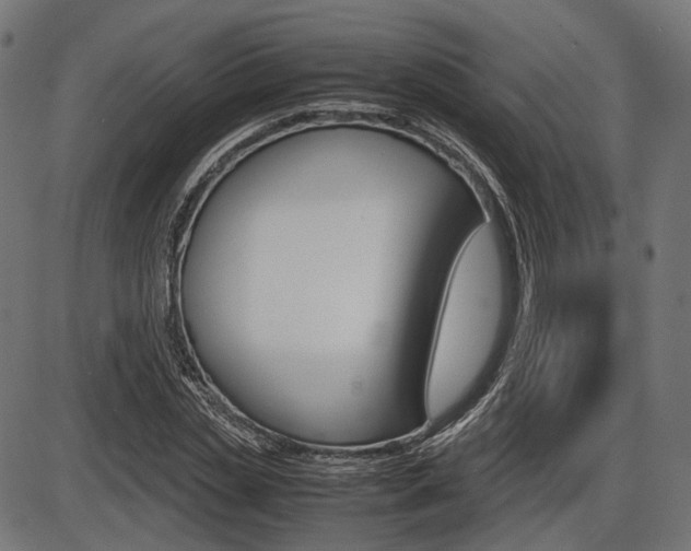 X0000087540829200704270921