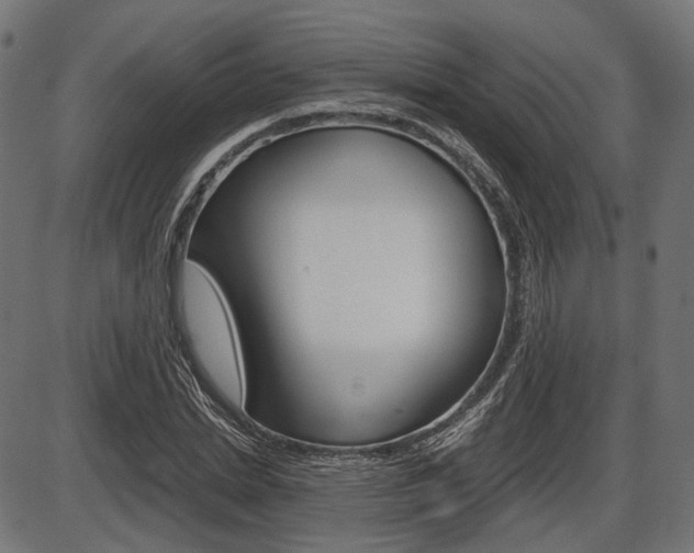 X0000087540830200704270921