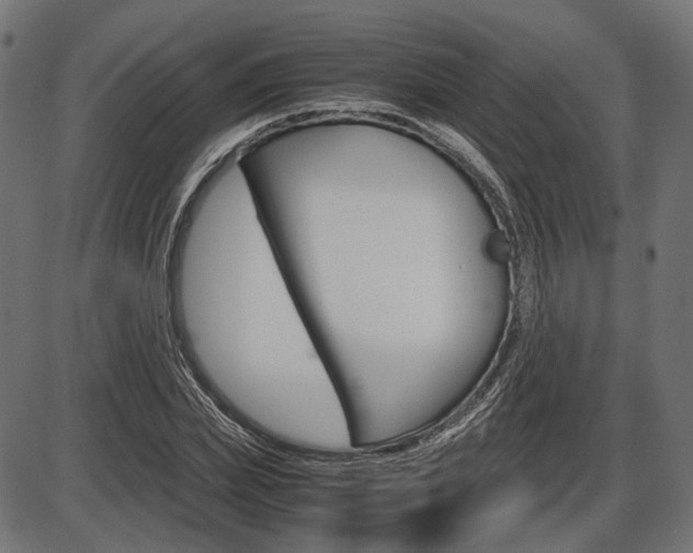 X0000087540831200704270921
