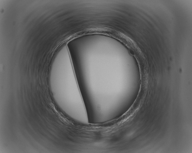 X0000087540833200704270921