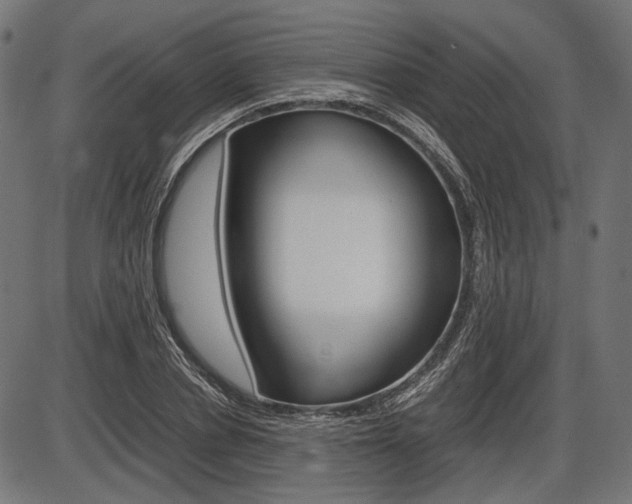 X0000087540834200704270921