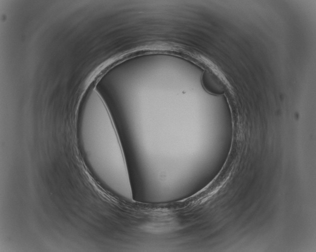 X0000087540837200704270922