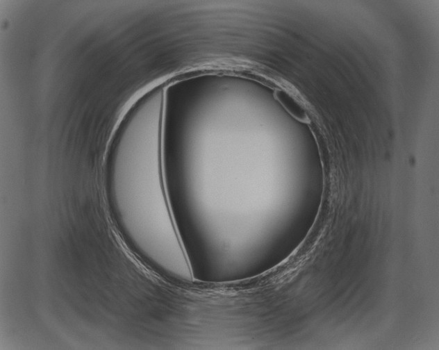 X0000087540838200704270922