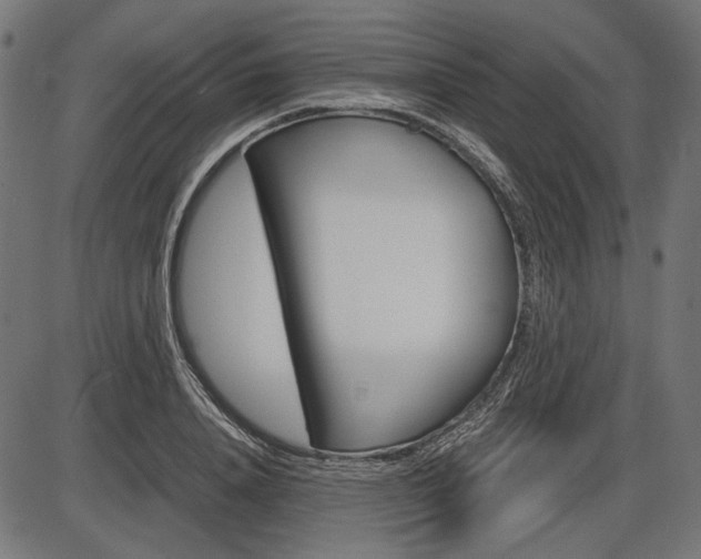 X0000087540840200704270922