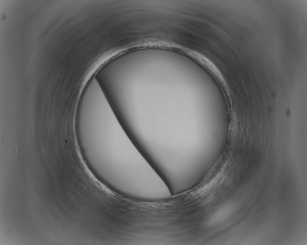 X0000087540847200704270922