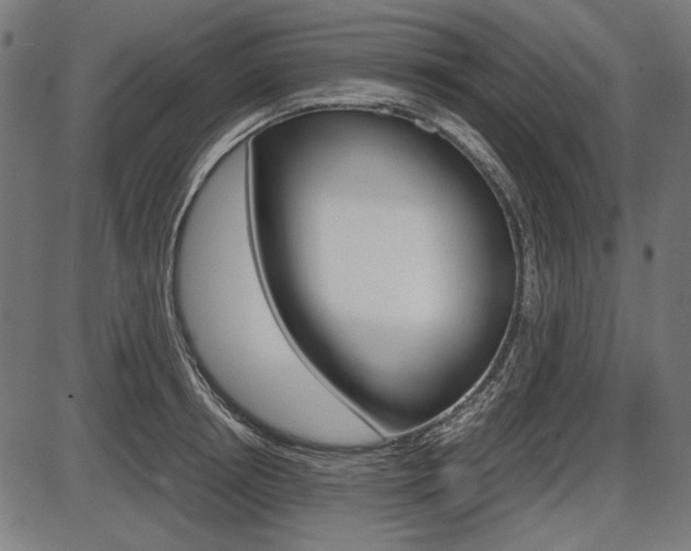 X0000087540850200704270922