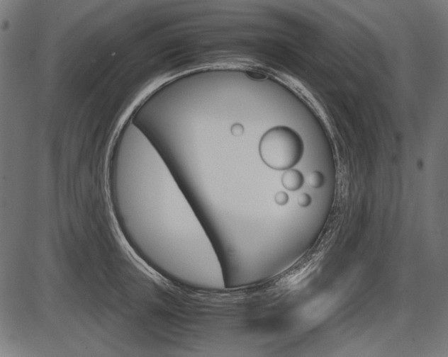 X0000087540851200704270922