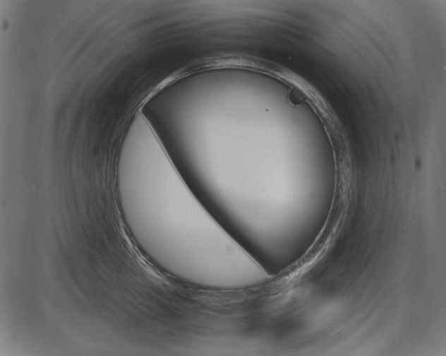 X0000087540857200704270922