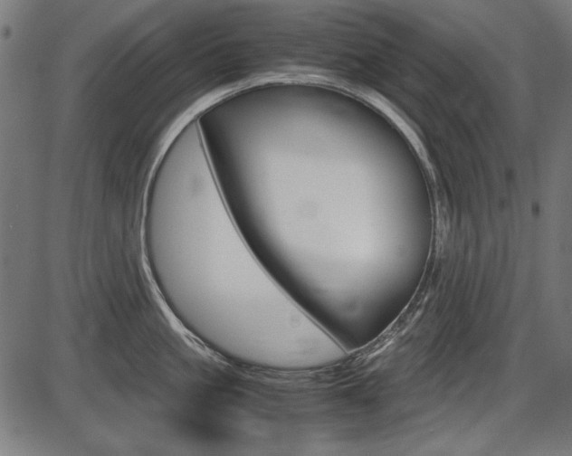 X0000087540861200704270922