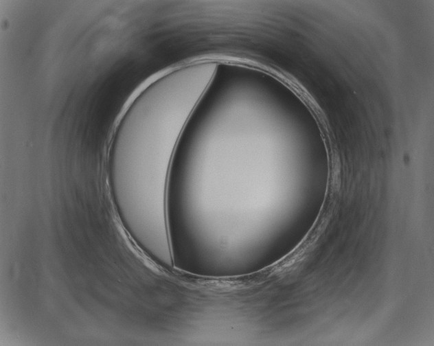 X0000087540862200704270922