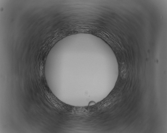 X0000087540866200704270921