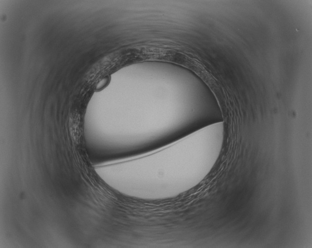X0000087540867200704270921