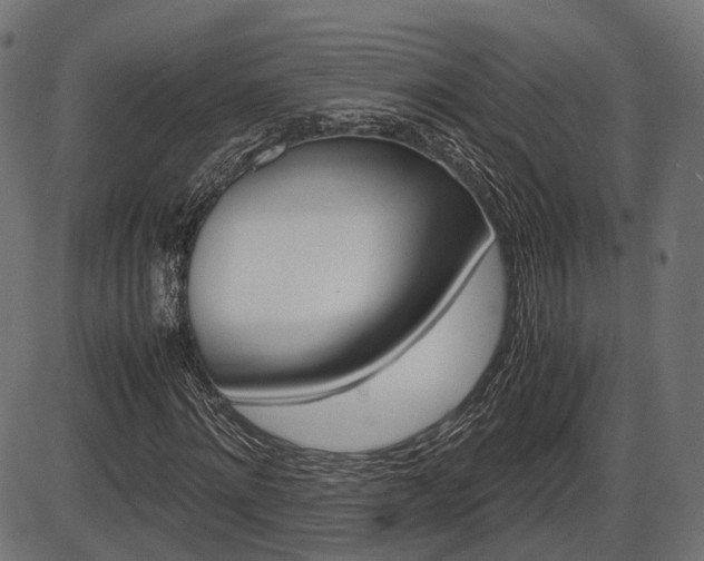 X0000087540868200704270921