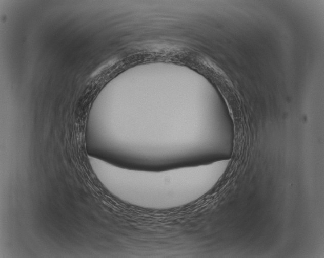 X0000087540869200704270921