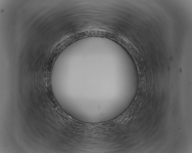 X0000087540870200704270921