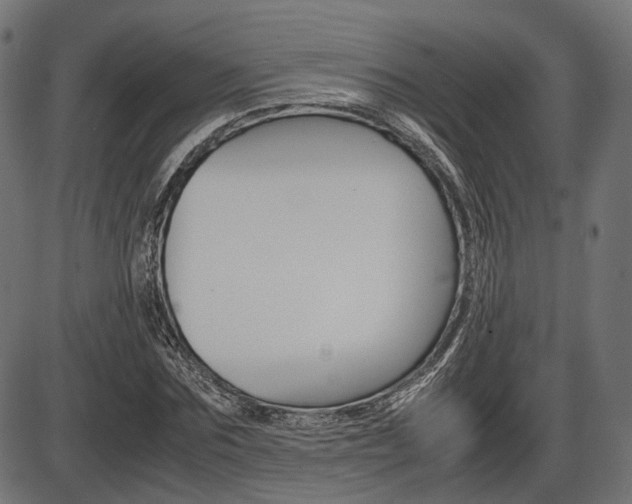 X0000087540875200704270921