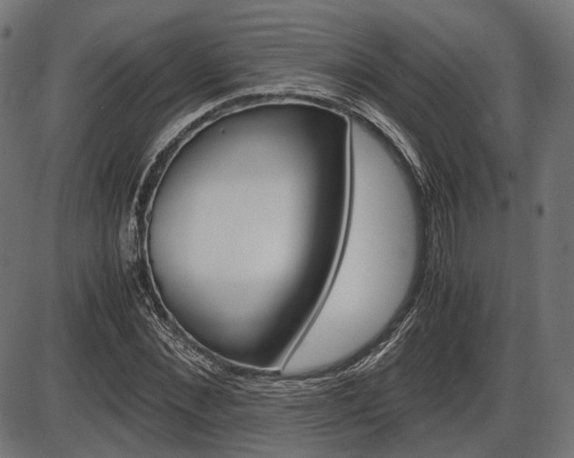 X0000087540876200704270921