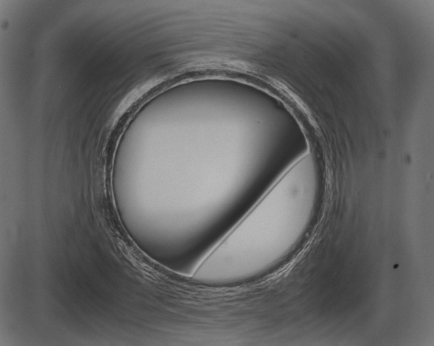X0000087540877200704270921