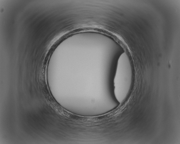 X0000087540879200704270921