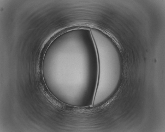 X0000087540880200704270921