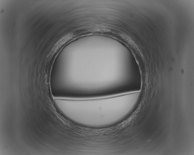X0000087540881200704270921