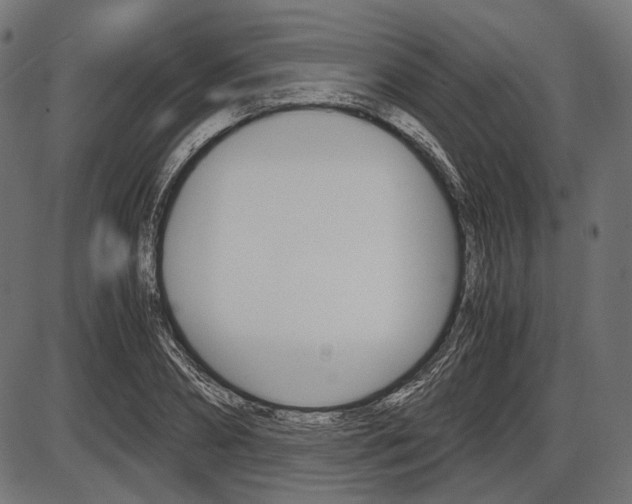 X0000087540882200704270921