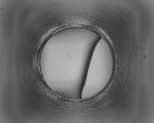 X0000087540883200704270921