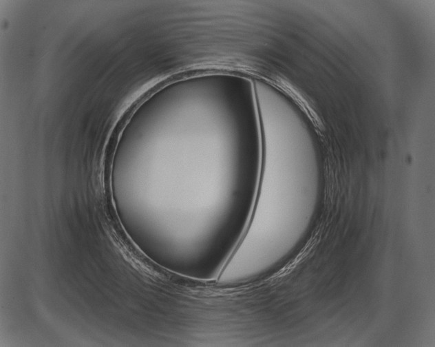 X0000087540884200704270921