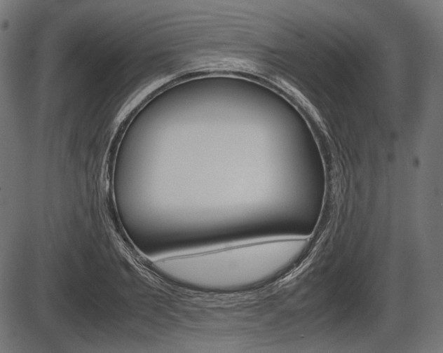 X0000087540885200704270921