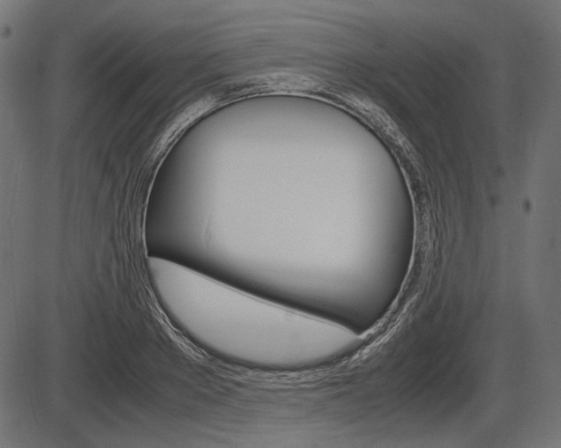 X0000087540889200704270921