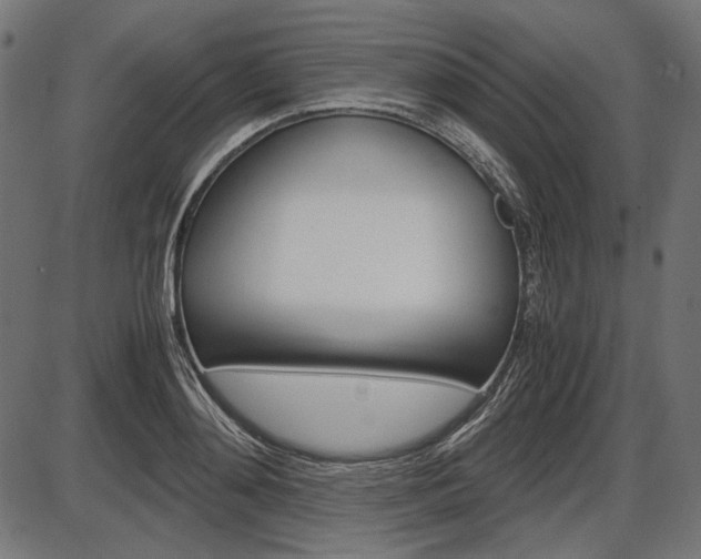 X0000087540892200704270921