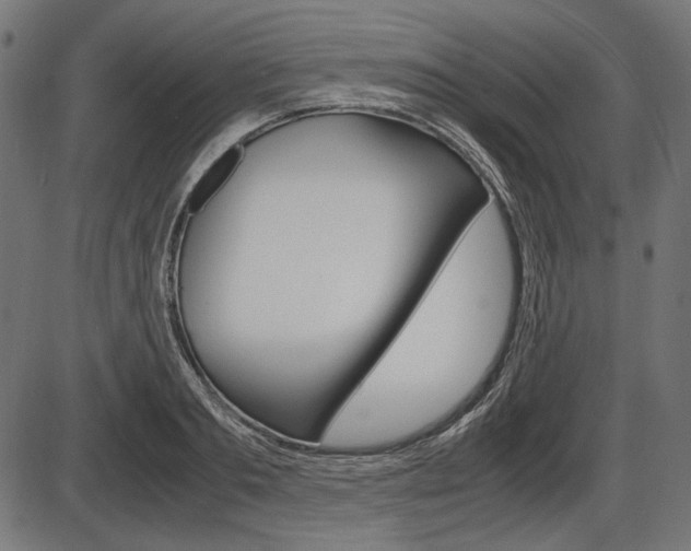 X0000087540893200704270921