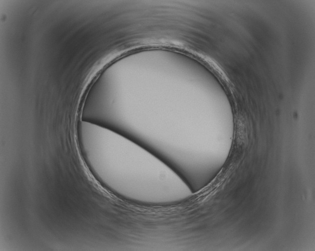 X0000087540895200704270921