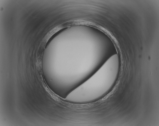 X0000087540897200704270921