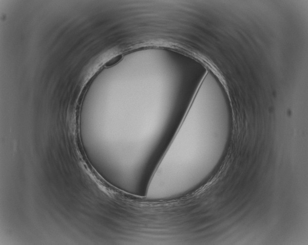 X0000087540898200704270921