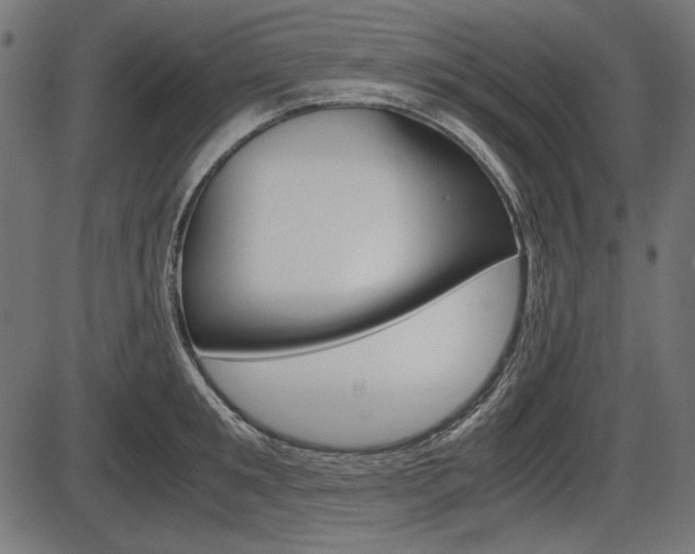 X0000087540901200704270921