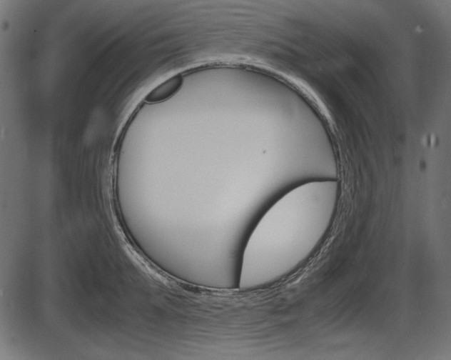 X0000087540903200704270921