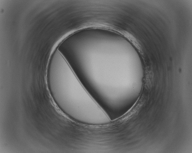 X0000087540904200704270921