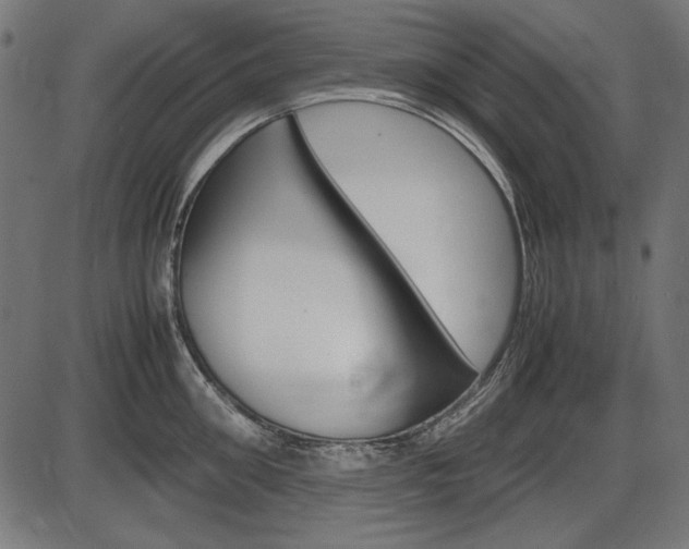 X0000087540906200704270921