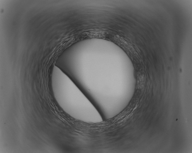X0000087540913200704270920