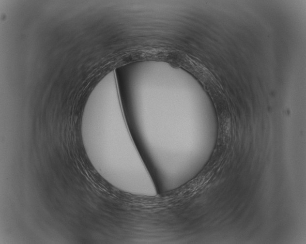 X0000087540914200704270920