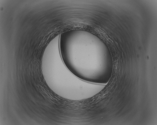X0000087540916200704270920